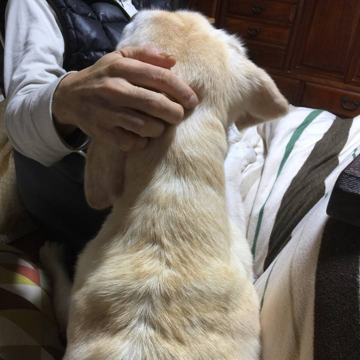 E725fa2d 7dba 4a2e 9461 0d14c1a2b721 1513146565081