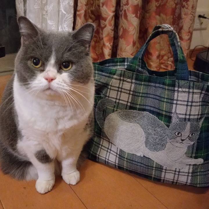 E7261fb5 03ca 46ab 87d5 9d23b299632f 1766065909740