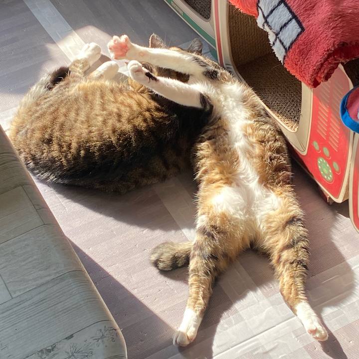 E7263eb4 a8ca 47c8 9eed ae1a62d49997 1638234999307