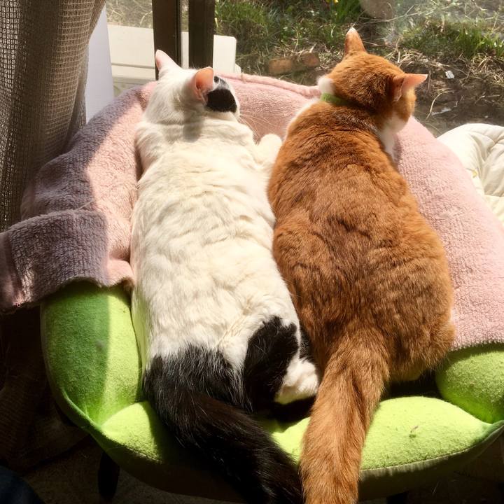 E7264f9a e16d 414f a841 01e60300d02a 1554450243203