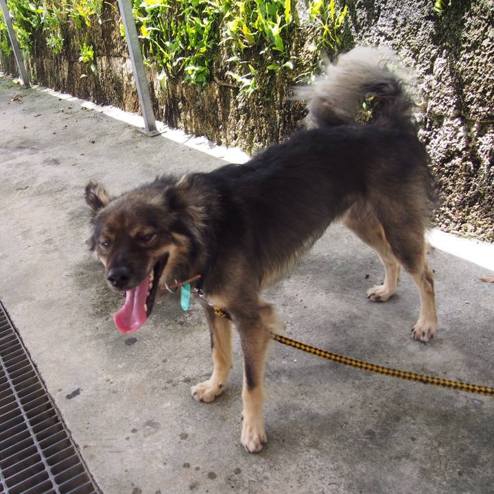 E726ba56 443d 485f b5c1 d1671e108877 1530586175281