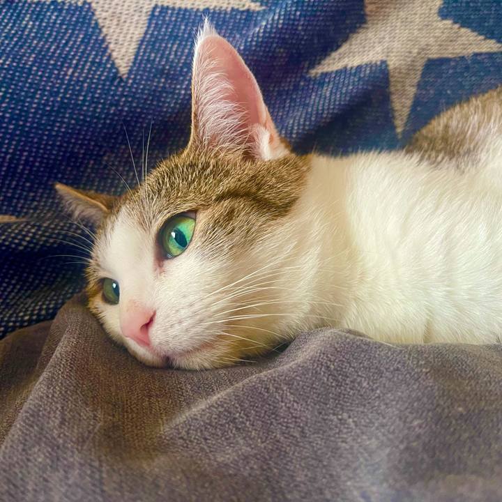 E726bbec 8de3 4cba 8c21 e6d340af1196 1627084195501