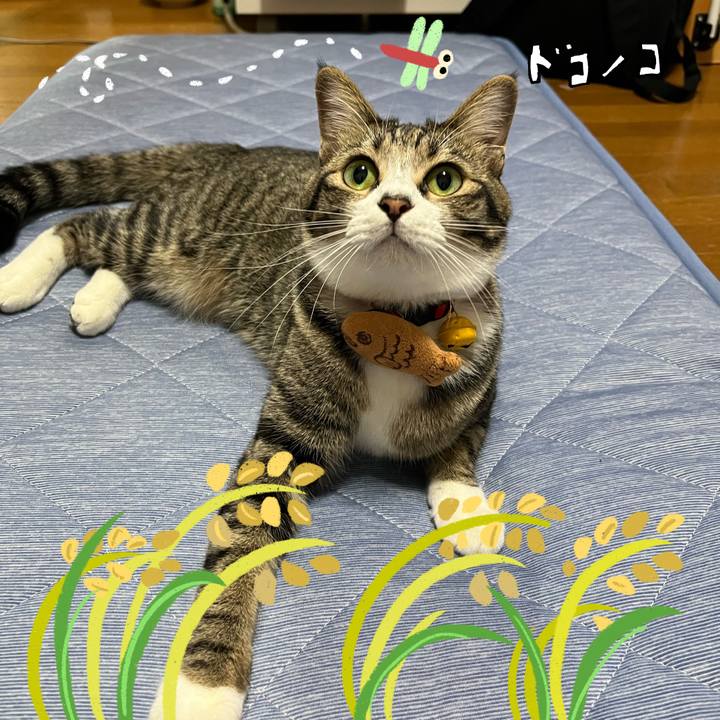 E726c2a8 da52 4a12 b998 83b748a638ef 1761103373656