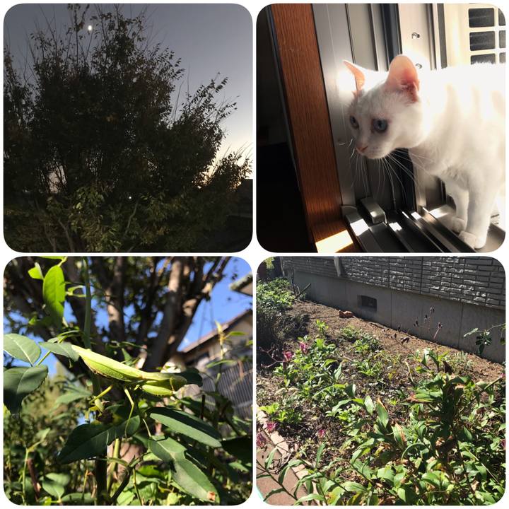 E726d5df 7f25 4707 8352 e33f221db215 1603453358365