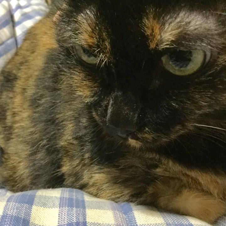 E726e2de d45f 4aaf 8b5b 7a22645cd671 1577361501806