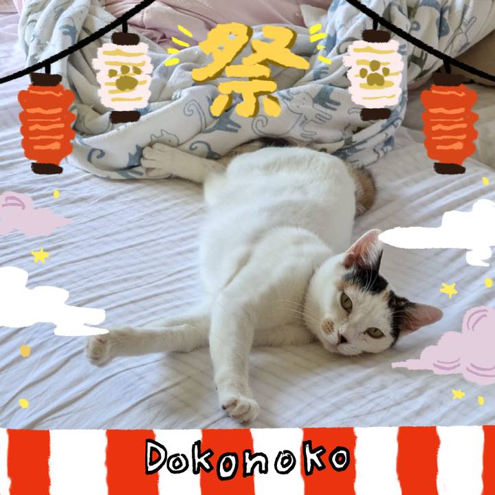 E7270796 3704 4f4b 84b9 64383f6a3c96 1723304798558