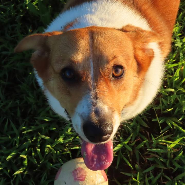 E7270eb5 fa0c 44a4 acb6 070173af082c 1629287457937