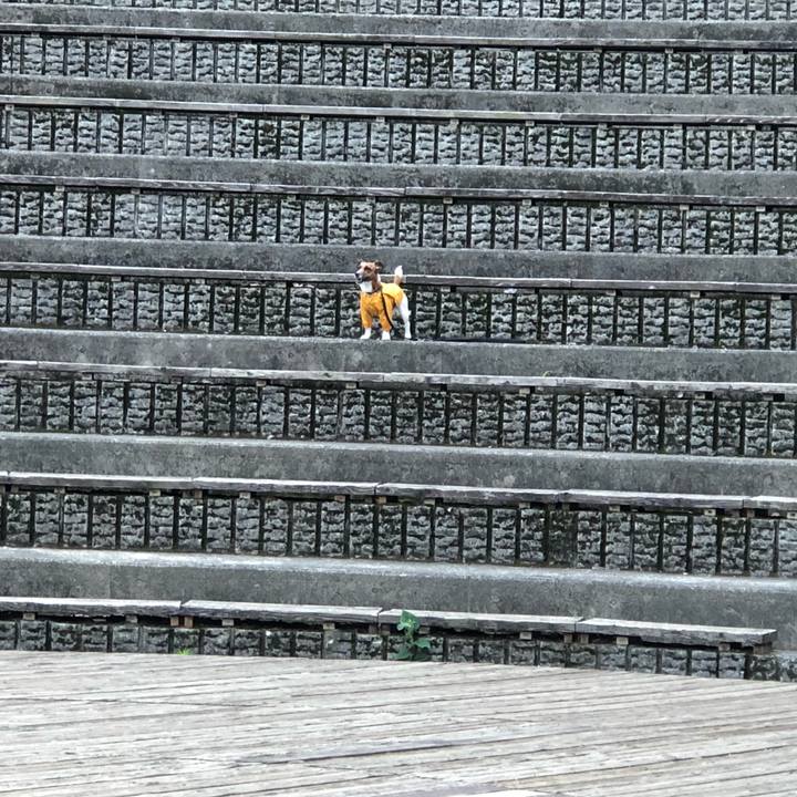 E7272cee dfa4 4bbd bc7a fa3d071a9ea1 1529016752751