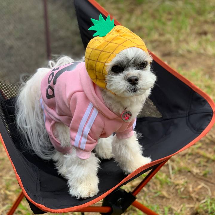 E7274de7 69b2 460e a12a 2d2134c7adcb 1557004931116