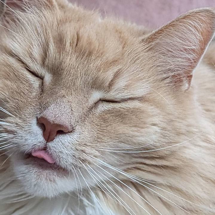 E7277588 b8b1 4786 a281 d305d4f649c9 1713168828311