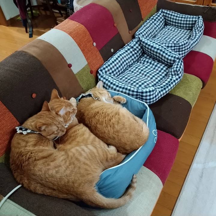 E7279729 9550 4466 b7fe 8e90fa1d76a6 1612689609676