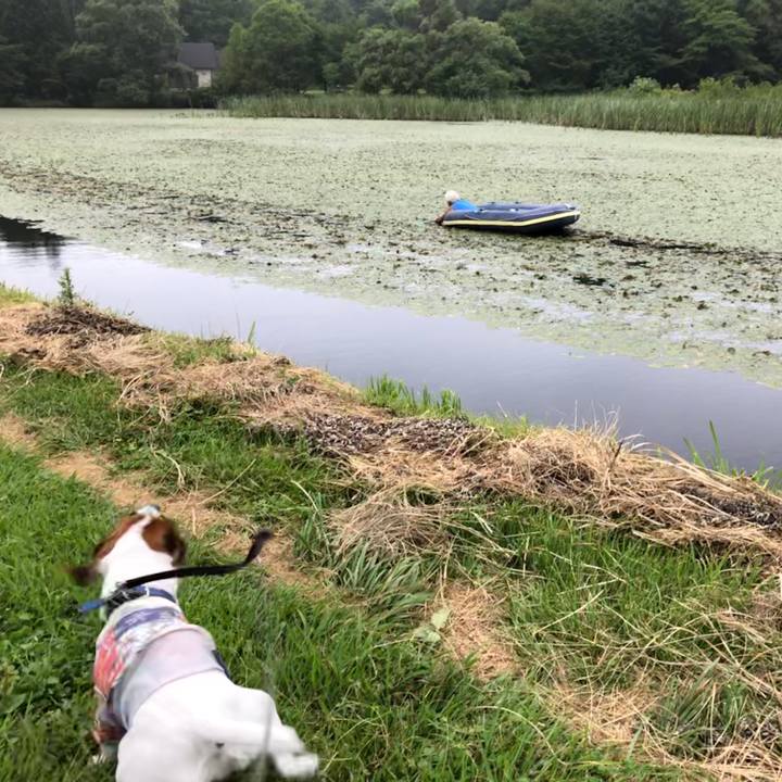 E727b09c 3822 4f10 ab7a cdb0d734baa2 1596783426607