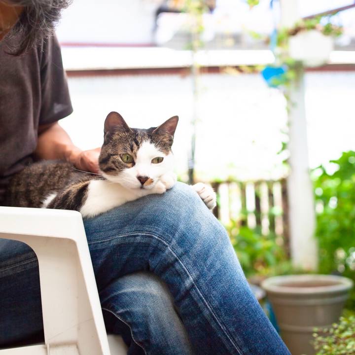 E727ee79 a73d 42d5 bb01 bf572d3f17b4 1594091380981