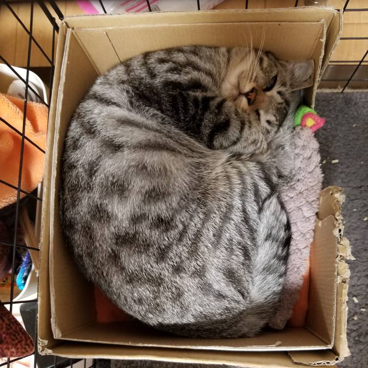 E72843cc aef0 4252 aeec 9e0f3f6263c6 1668784671980