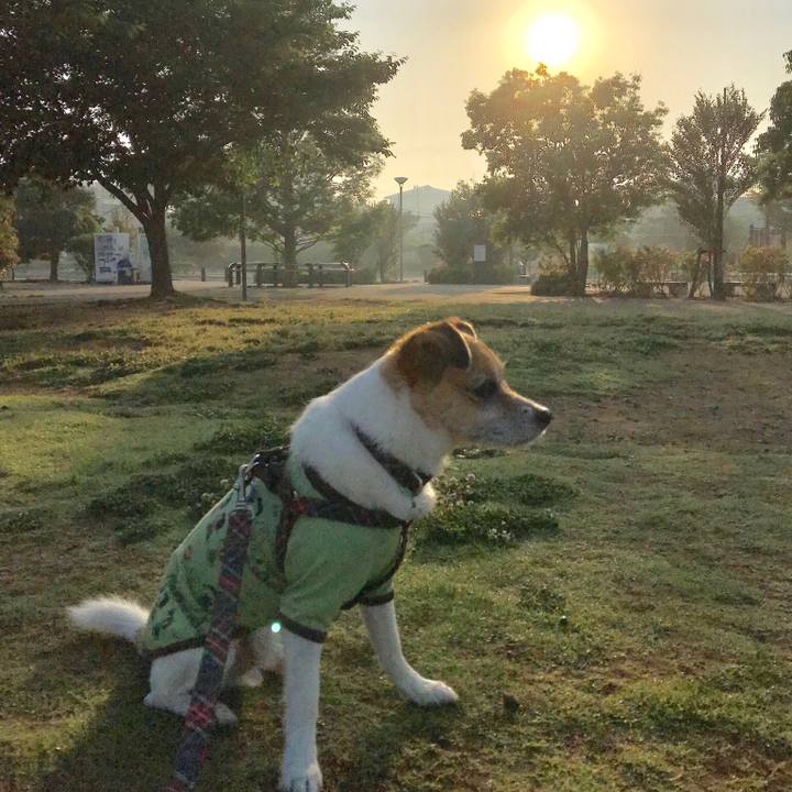 E72847ac 3b44 48e8 b51e 4b061a8f65b6 1558904904542