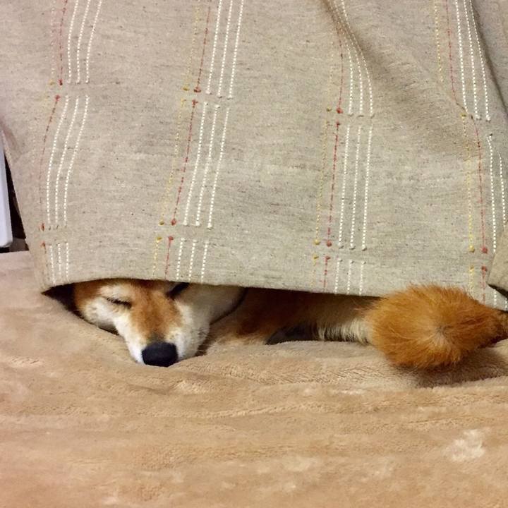 E7285f71 8daf 4b94 91e0 0070541d9ad9 1519738286744