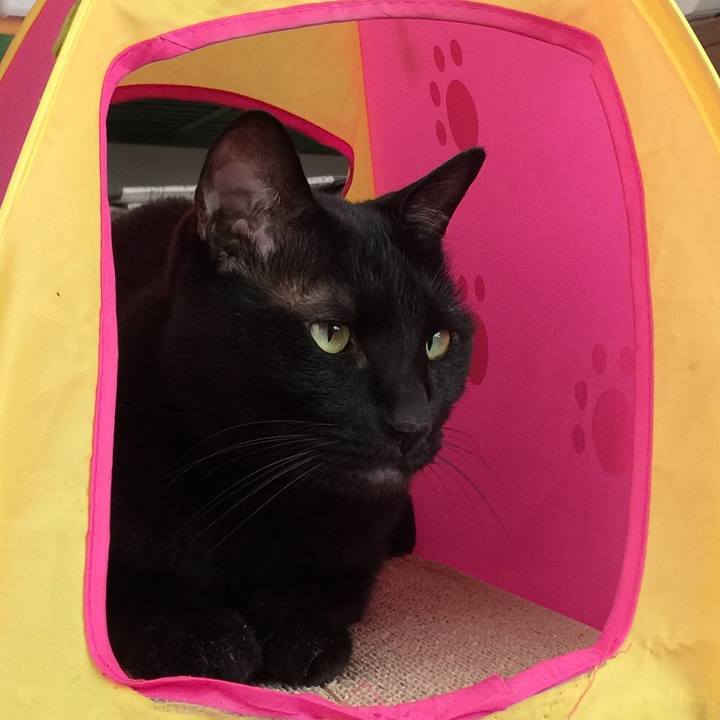 E7287b45 a00e 4679 995f dbe7627d967c 1525509489010