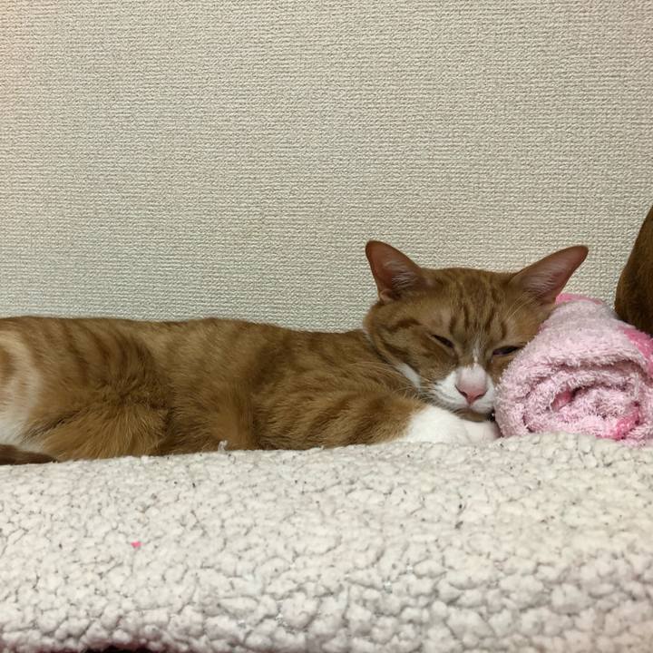 E728979a 2b27 4756 966b 541b91dfceea 1583667425074