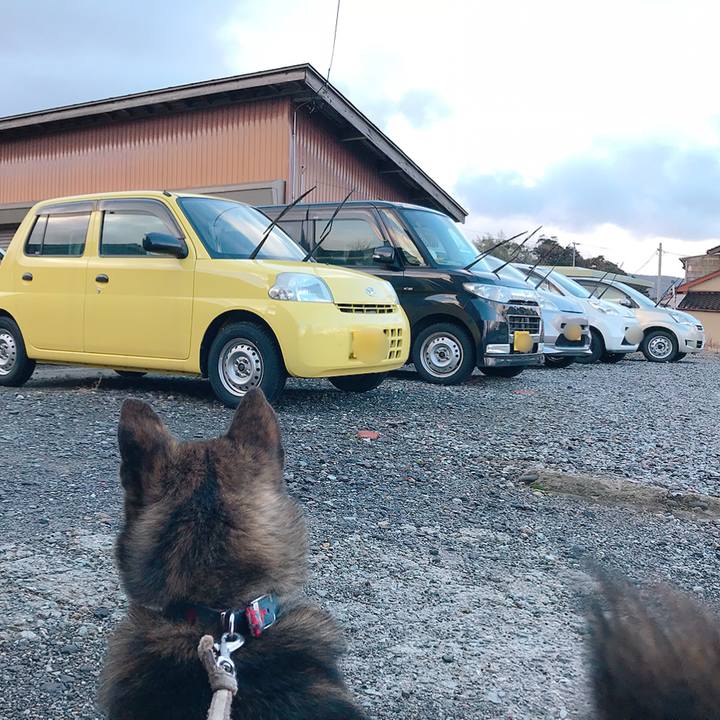 E728e810 63f0 4c7d 8f52 4c9ef9fbd634 1514771022590