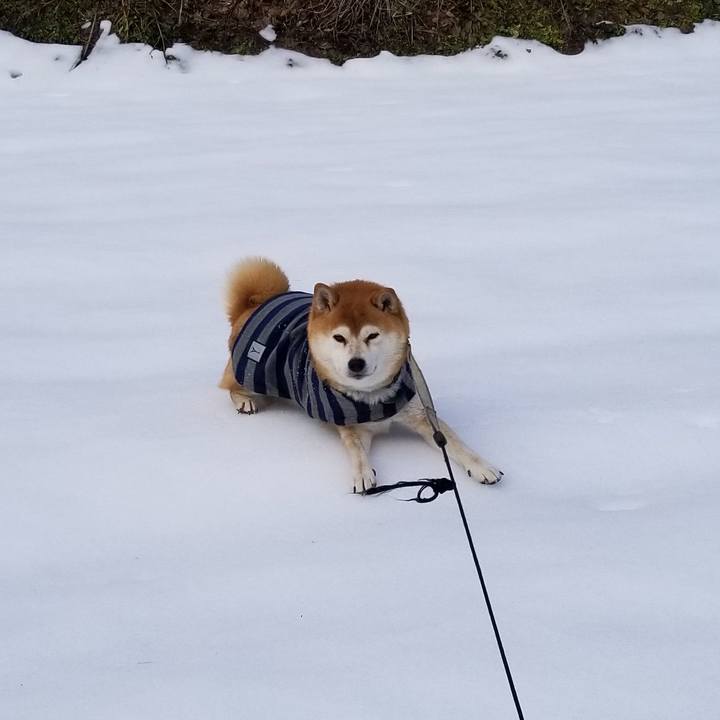 E729165b 21e2 4bb7 a22d dc456ce305bb 1579050801171