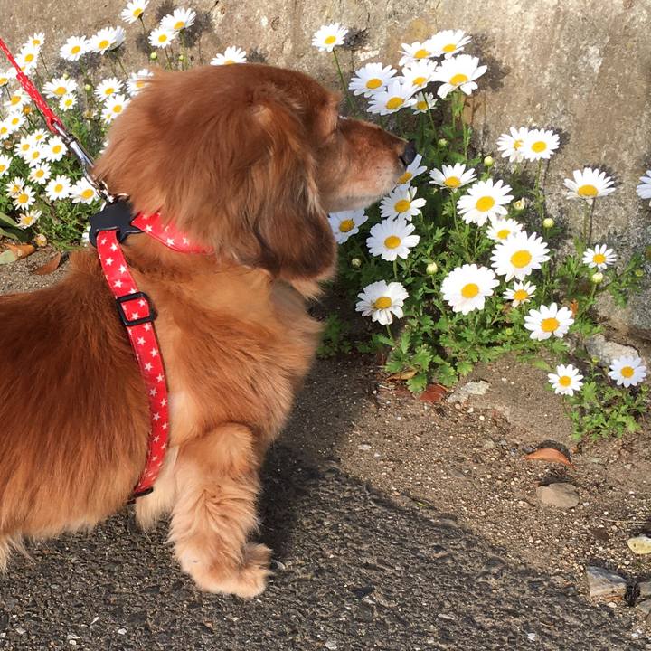 E7293a19 72b1 4a0a 9194 ee93fccb195b 1620736349318