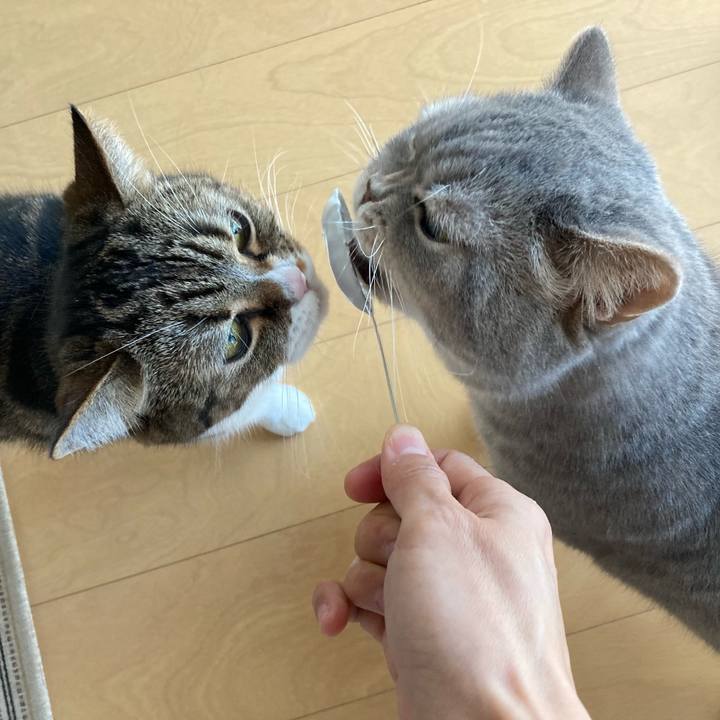 E729412f f041 45f2 8472 52de3673b1b8 1774082067058