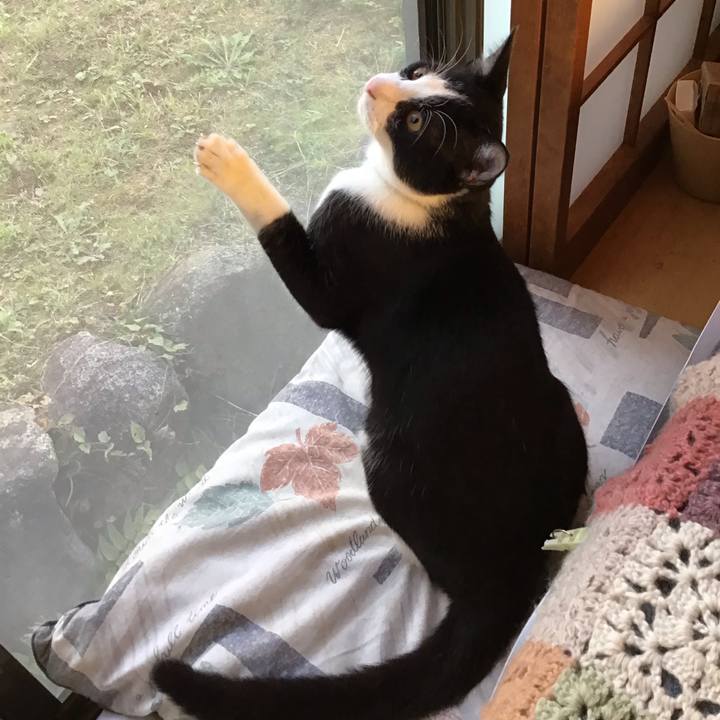 E729557e 34c4 4aba b79a 471071948e20 1635580262572