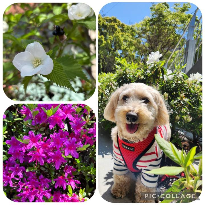 E7296bbb 50b2 4bbd 9b00 658ef4db88b4 1775636337752