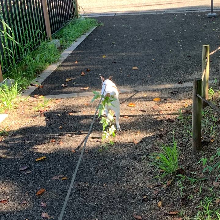 E7299dd9 97fa 40b1 86f0 1b5c9ee4df51 1599867290272