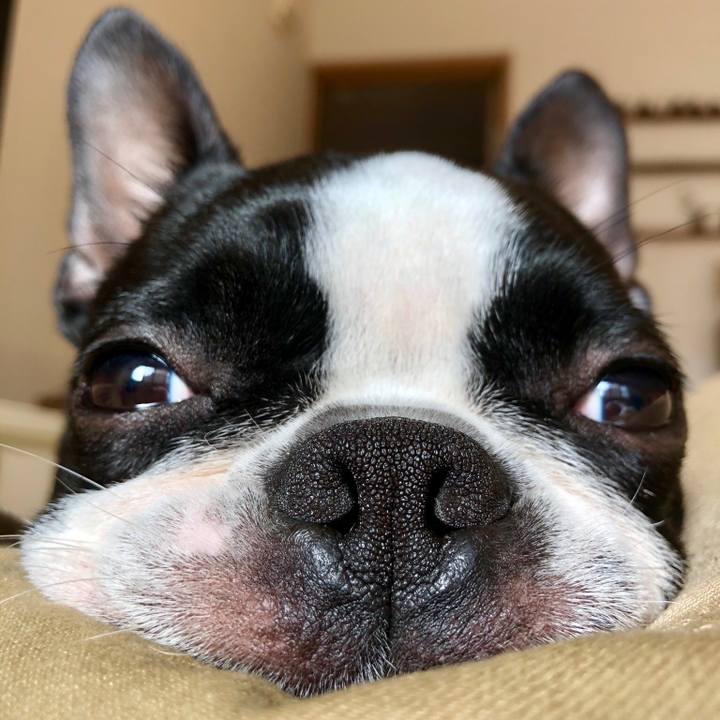 E7299fa8 d5c2 42dc b220 3feba72353bb 1524179105131