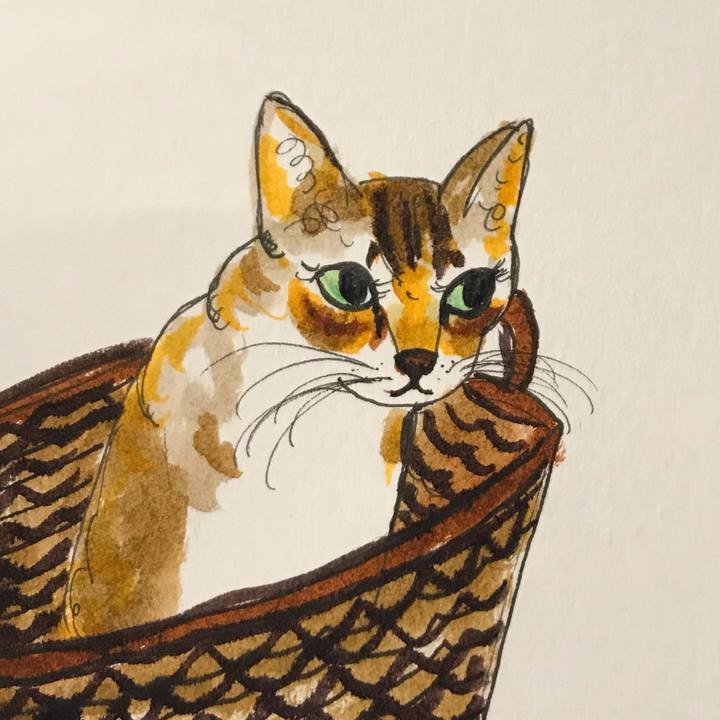 E729aabd b994 4a00 b6e2 4d8908911aec 1616314162721