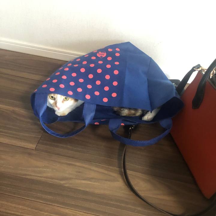 E729bd09 ff27 4fbf a1fd fd12601c820e 1594078734520