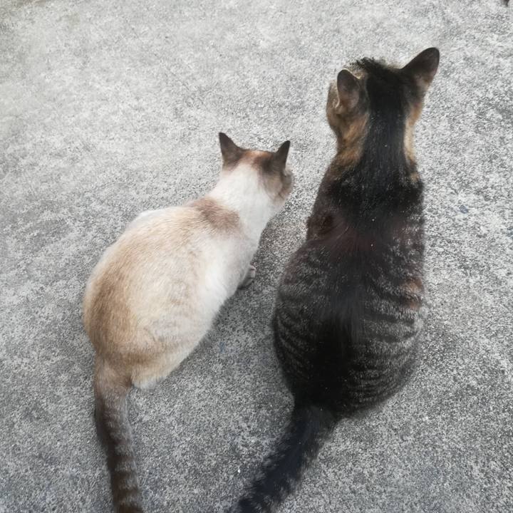 E729bfc2 3b02 4563 b8dc a731833d2f3b 1524827001404