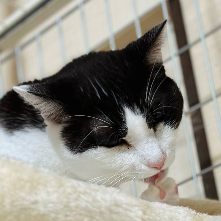 E72a2206 79d3 455c 8b8a cd3dbf75a65c 1686967776877