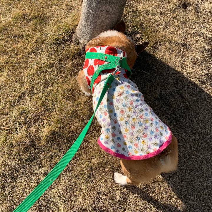 E72a2625 d167 4284 a1b4 cdc40ef01647 1581425517078