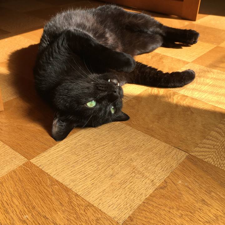 E72a55fc 1039 4d25 9df8 1cc0a02ae67d 1533104642884