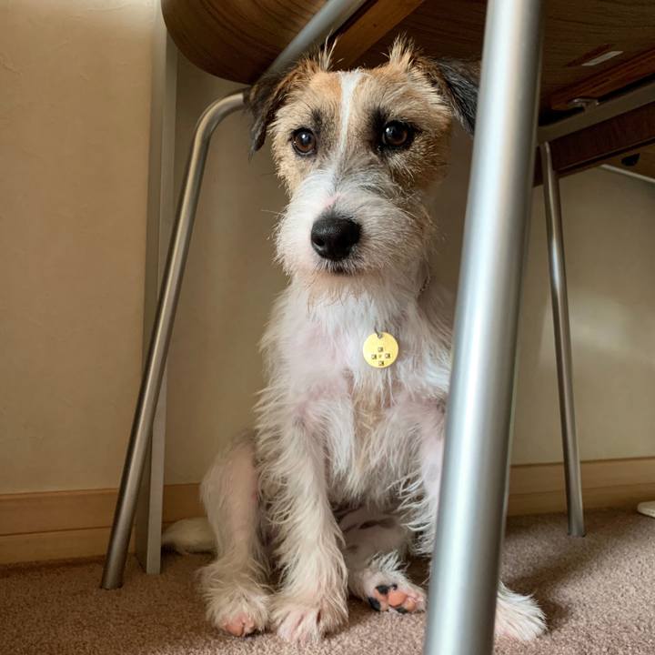 E72a7cc8 d272 4f14 b687 db1ec71fb609 1594273210450