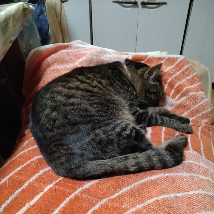 E72a7f06 bec9 4794 b53a dc8fbe45c72c 1736854383836