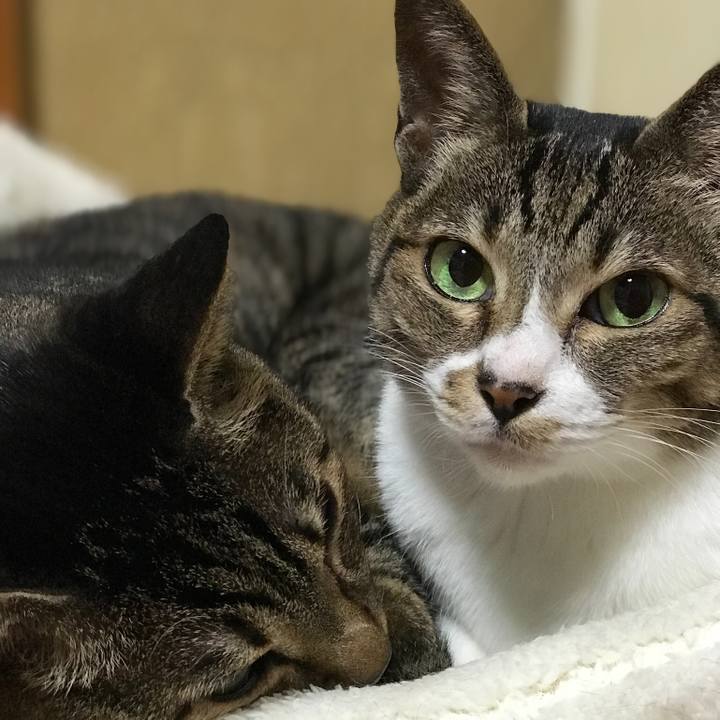 E72a8291 570d 426f be8e dc32f9cc47f4 1508635576891