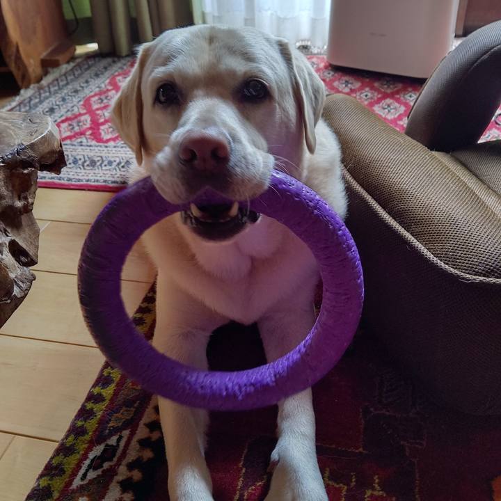 E72a8bef 1dc7 430b b555 83c132c919b8 1695445287808