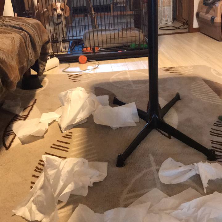 E72a8e0a 7714 4d0a a2c5 135519cb6f8b 1581581587564