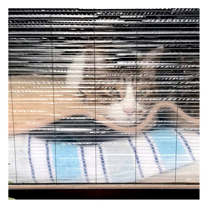 E72ab296 ffe1 49c3 8cbd ffee972ab0c5 1642730918976