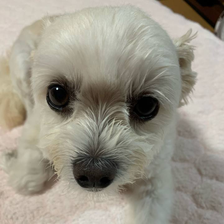 E72ae8a4 6a5d 412f a28c 374e87fcdd99 1634036448286