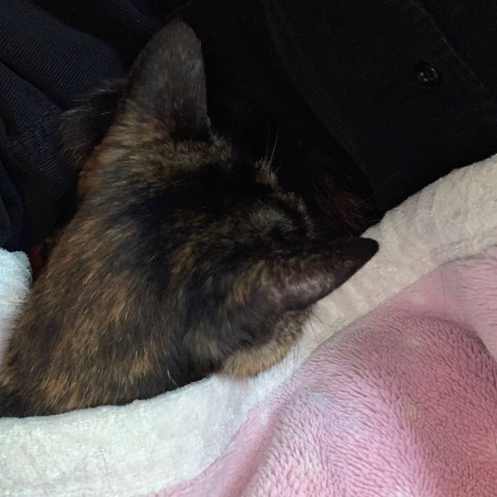 E72af73b 631d 40b3 89fc cbce7518f7d9 1677728675908