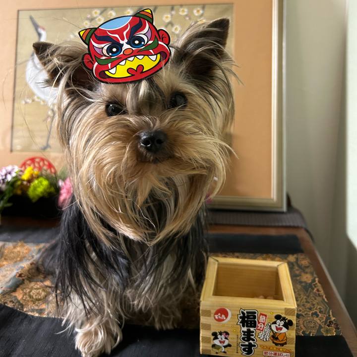 E72b1b96 e816 493d 8b8e 91ba613a8da9 1675428984992