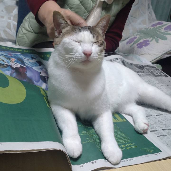 E72b2a72 bb6a 45a4 a9bf 3bdb27d35253 1735634988620