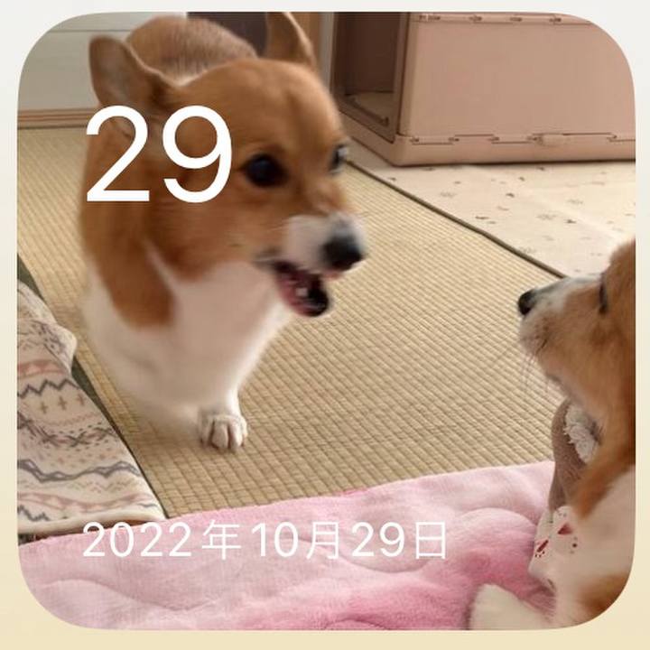 E72b6c88 4292 42ea a9fe a690cc795640 1761712114712