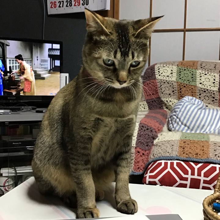 E72b7111 76ea 4729 9bee cc6358562b23 1586650416020