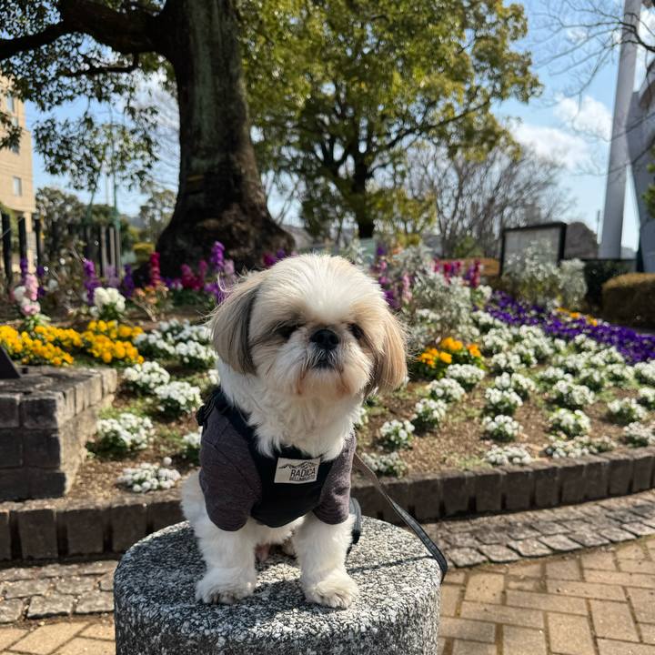 E72ba0c5 fc7f 4b5c ba66 f006c18dad9b 1771828432188