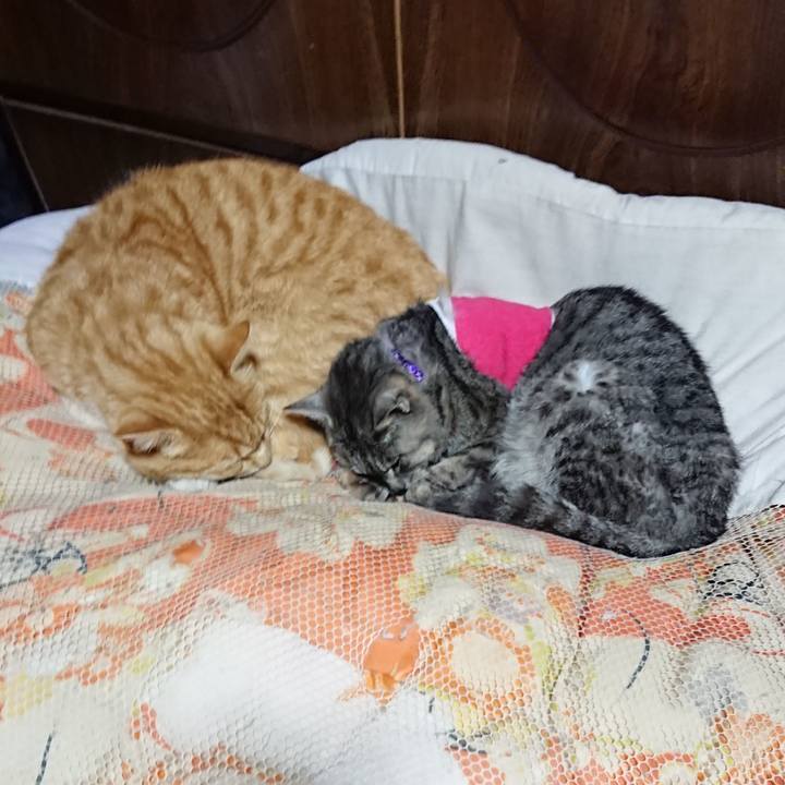 E72bb554 fb4c 42c8 988a d4f18f76e8cf 1586695814719